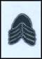 H�rnerkrone, Symbol  Assurs